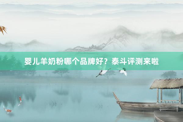 婴儿羊奶粉哪个品牌好？泰斗评测来啦